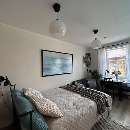 Stella's Kappeli - Near Bus Station And Airport - Near Bus Tram Stops - Free Parking, Wifi And Netflix - New Renovation Appartamento Reval